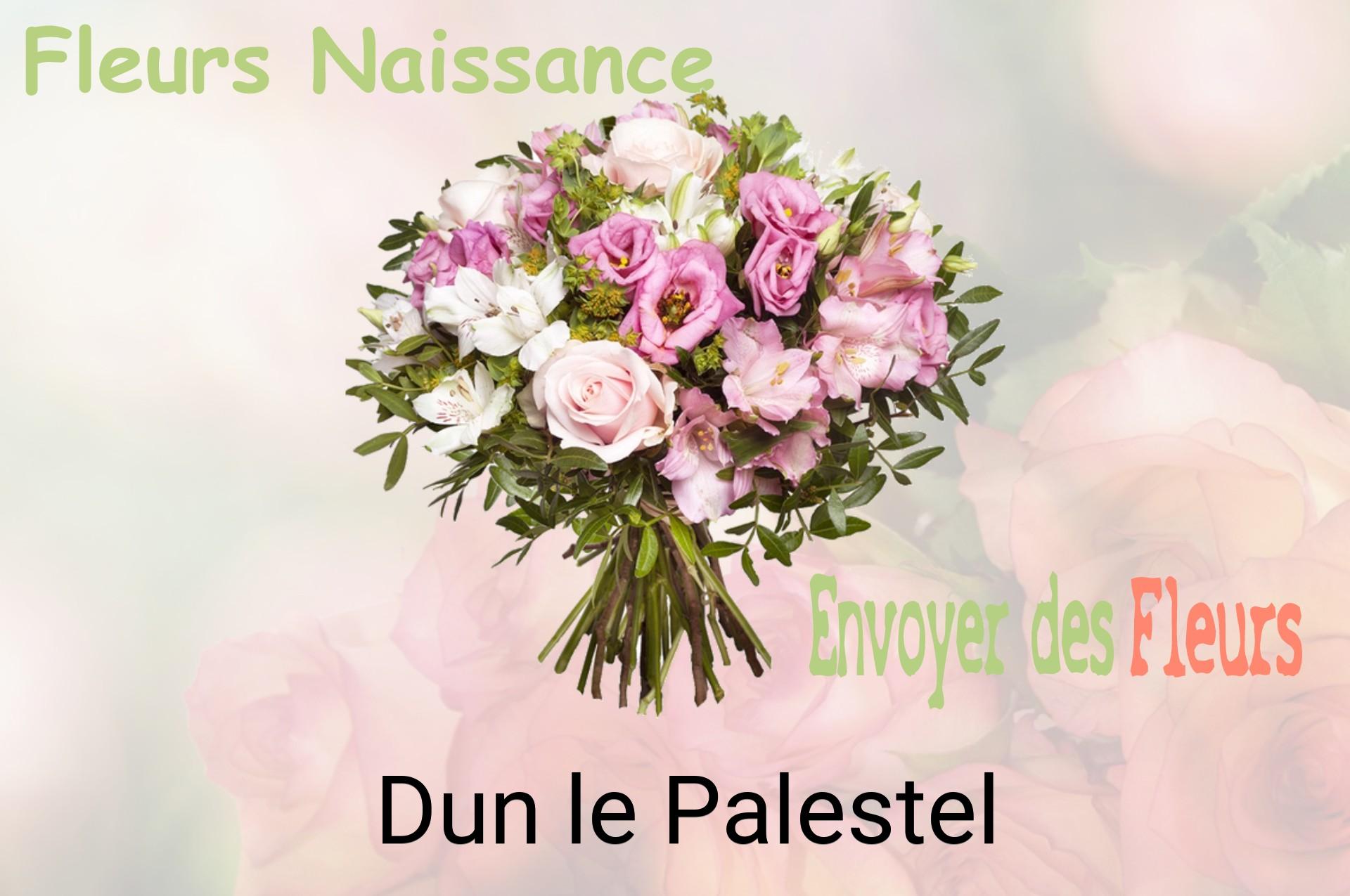 Bouquet de fleurs de naissance livré à Dun-le-Palestel