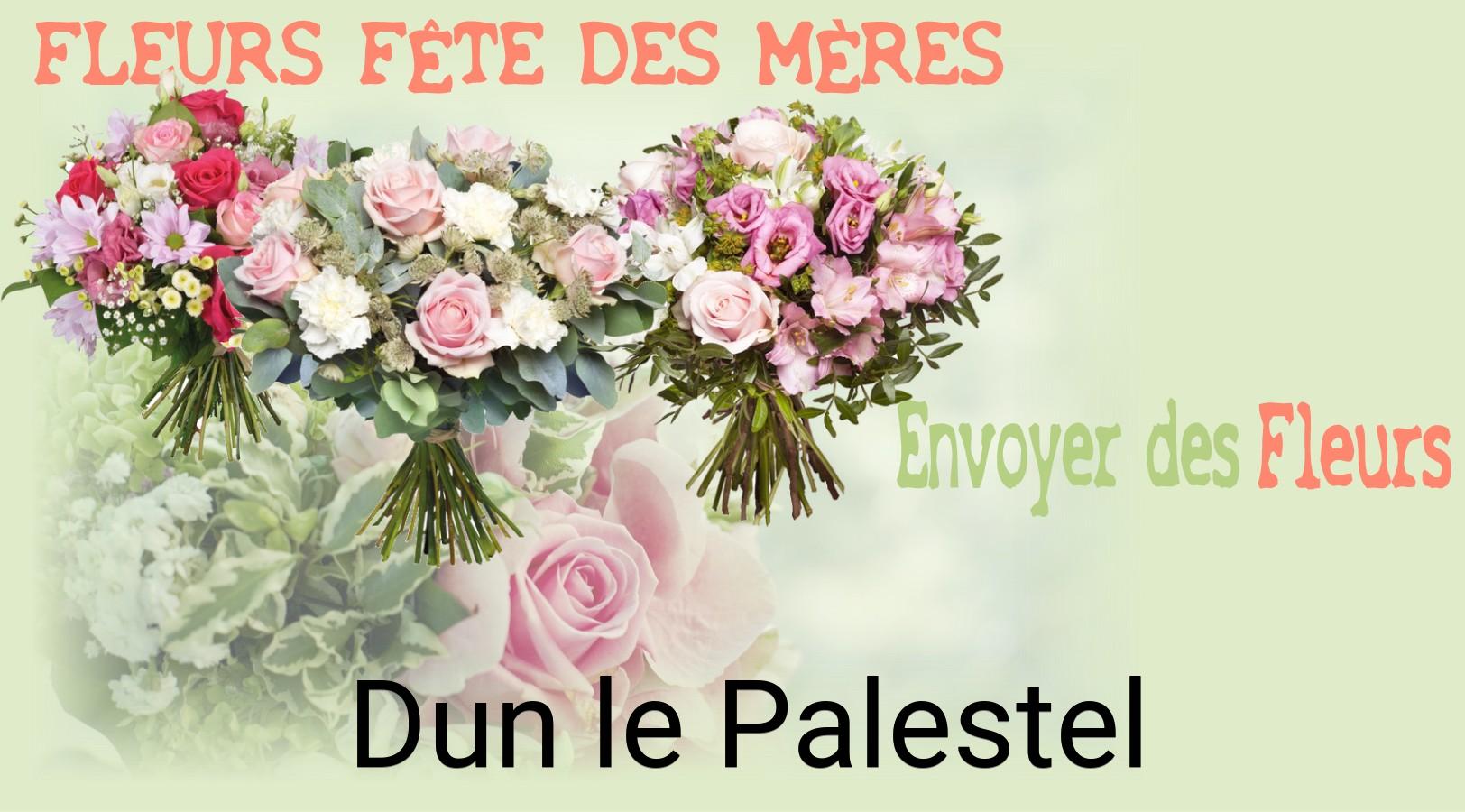 Bouquet de Fête des Mères livré à Dun-le-Palestel